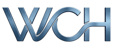 瑋宸精密 LOGO